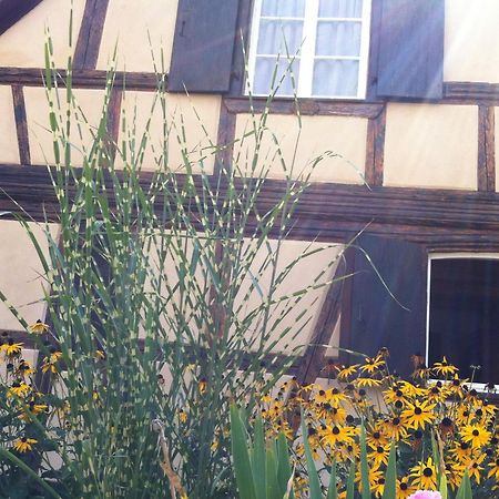 Chambres D'Hotes La Stoob Strasbourg Sud Иллкирх-Графенштаден Экстерьер фото